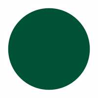 Темно-зеленый Oracal  613