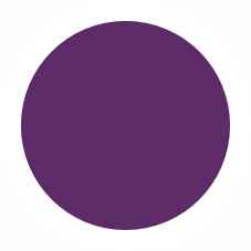 040 Фиолетовый