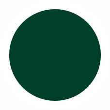 060 Темно-зеленый