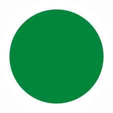 062 Светло-зеленый