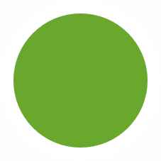 063 Липово-зеленый