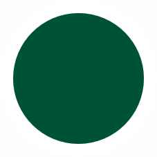 613 Лесной зеленый